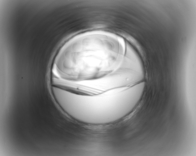 X0000088131432200706041939