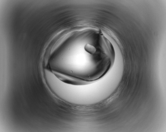 X0000088131434200706041939