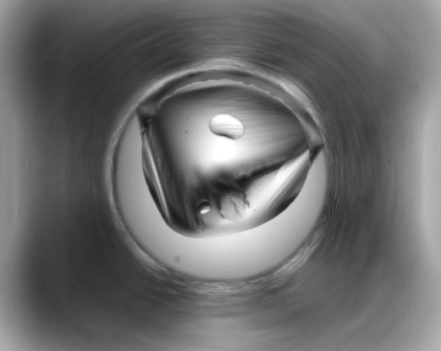 X0000088131438200706041940