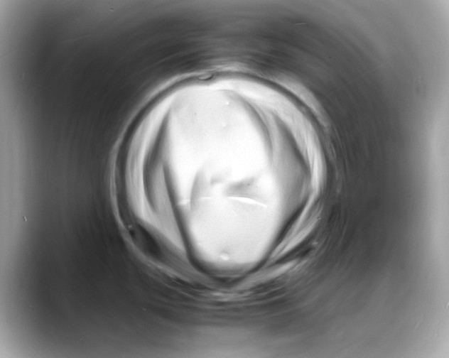 X0000088131439200706041940