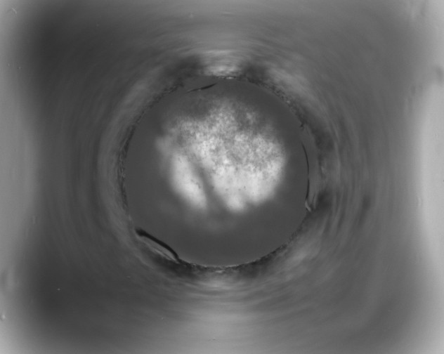 X0000088131441200706041939