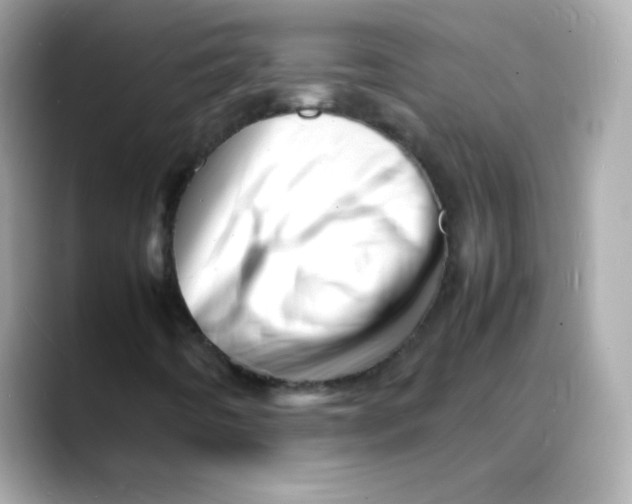 X0000088131442200706041939