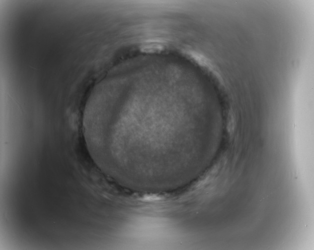 X0000088131445200706041939