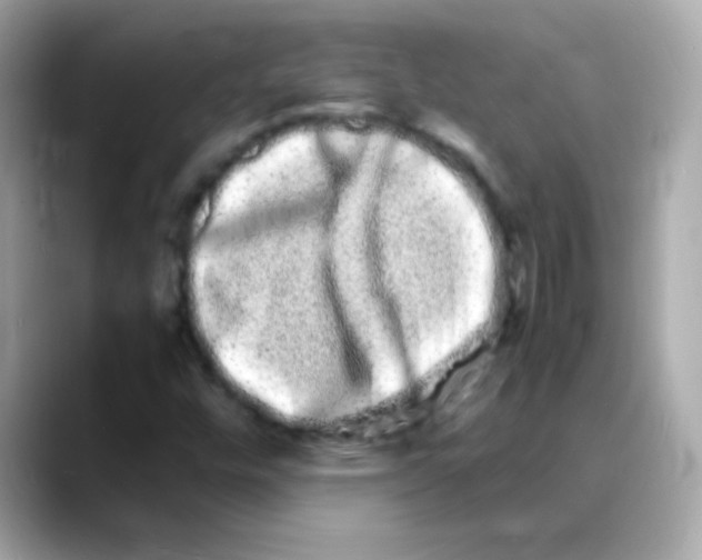 X0000088131448200706041939