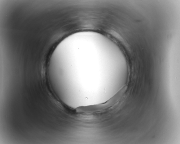 X0000088131450200706041939