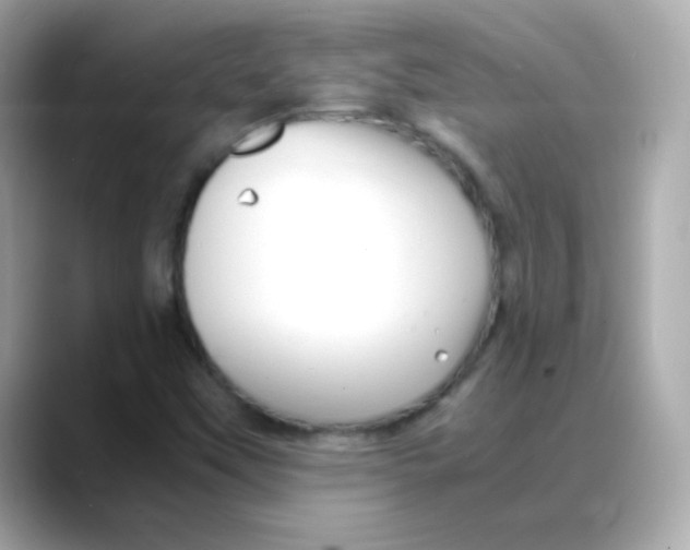 X0000088131451200706041939