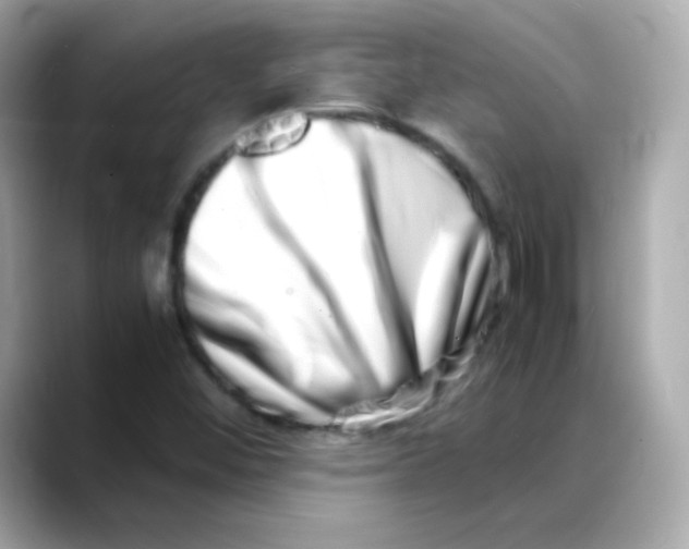 X0000088131452200706041939