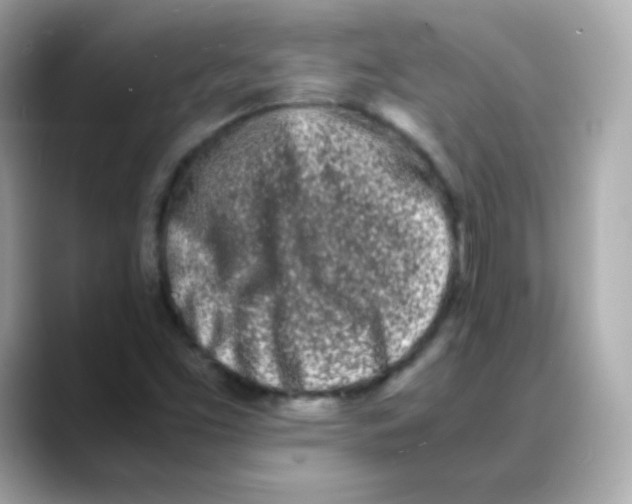 X0000088131453200706041939