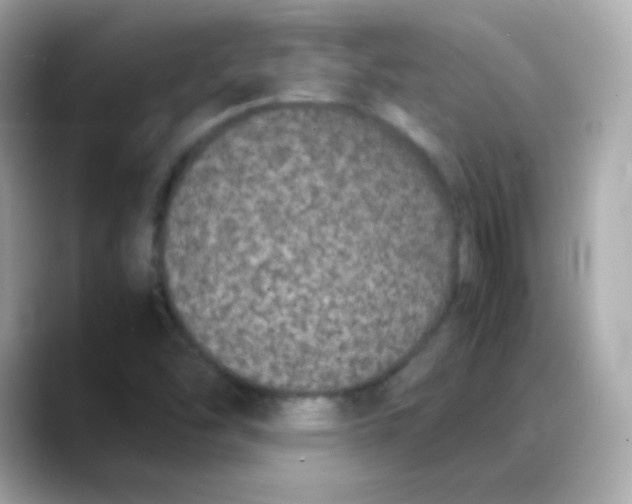 X0000088131454200706041939