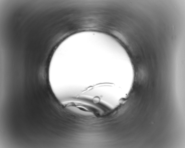 X0000088131458200706041939