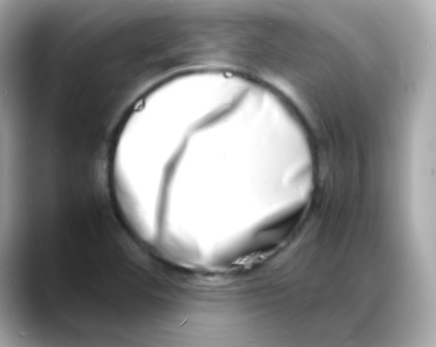 X0000088131460200706041939