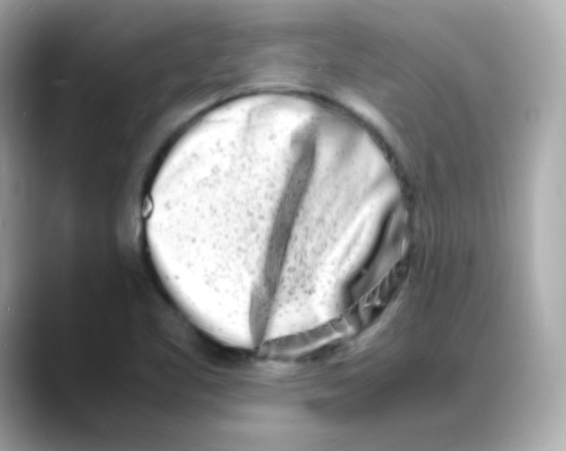 X0000088131461200706041939