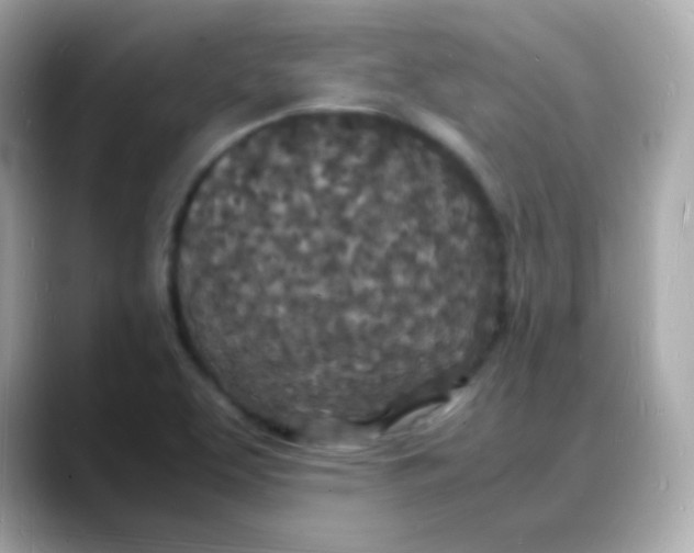 X0000088131463200706041939