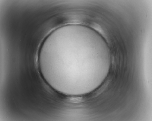 X0000088131466200706041939