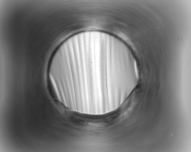 X0000088131469200706041939