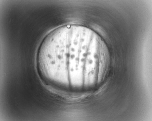 X0000088131471200706041939