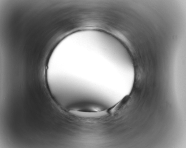 X0000088131472200706041939