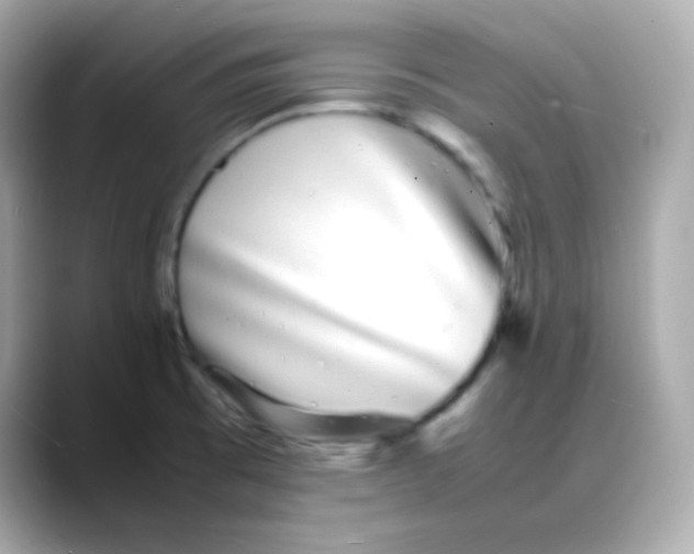 X0000088131473200706041938