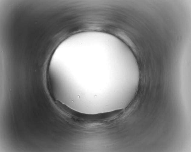 X0000088131475200706041938