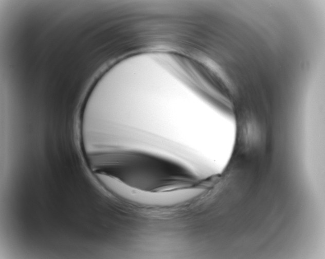 X0000088131476200706041938