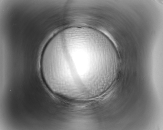 X0000088131477200706041938