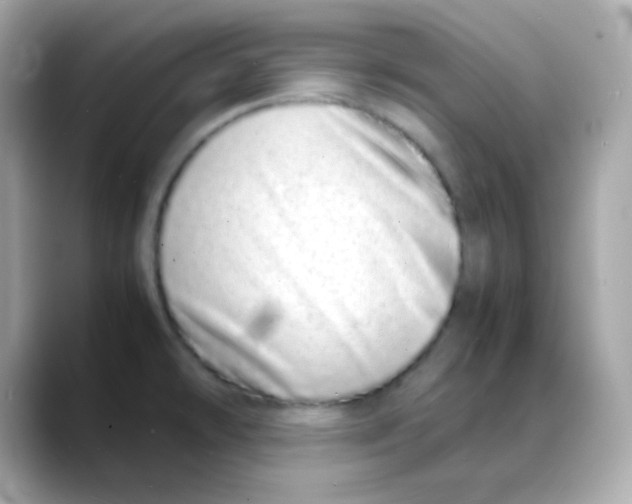 X0000088131478200706041938