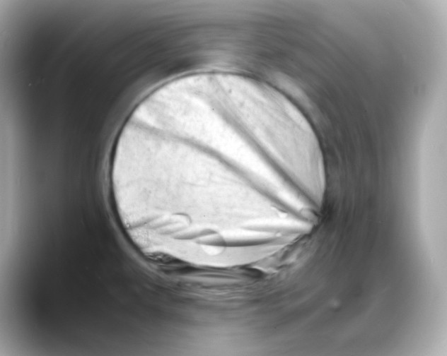 X0000088131479200706041938