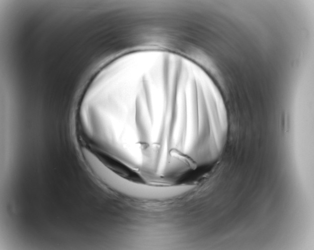 X0000088131480200706041938