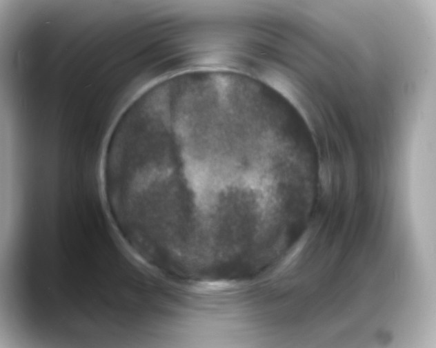 X0000088131482200706041938