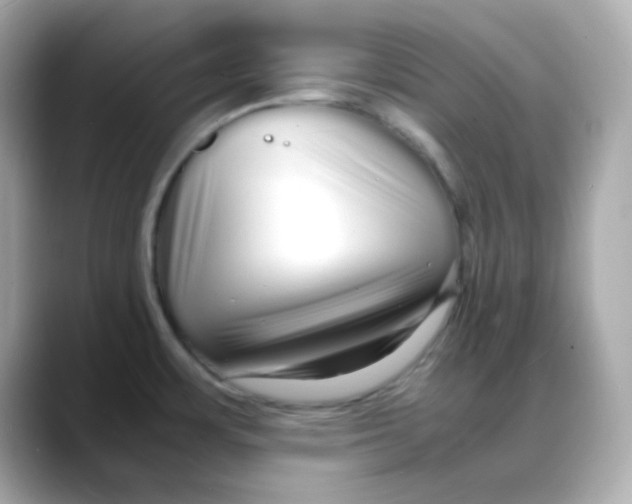 X0000088131483200706041938