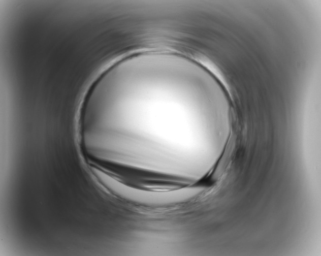 X0000088131485200706041938