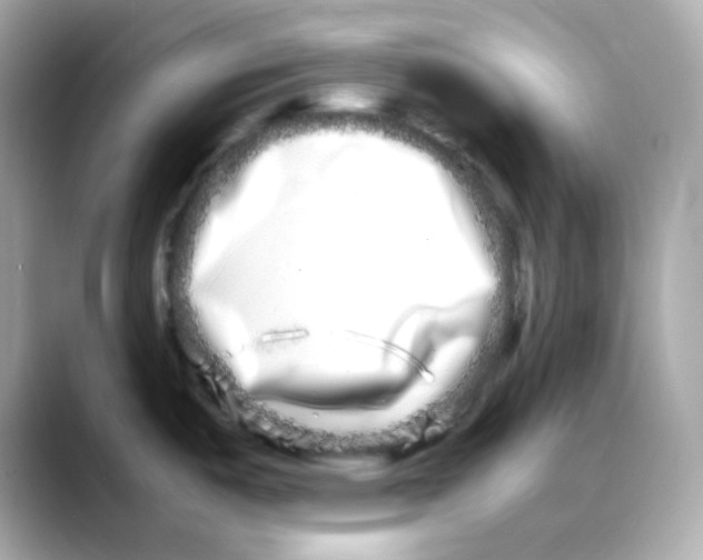 X0000088131487200706041938