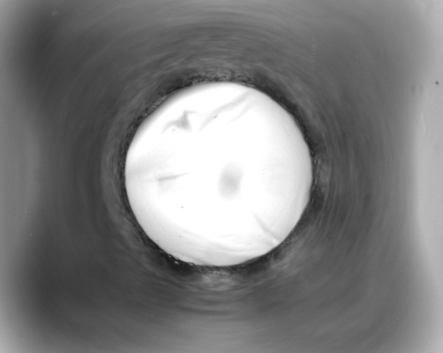 X0000088131489200706041938