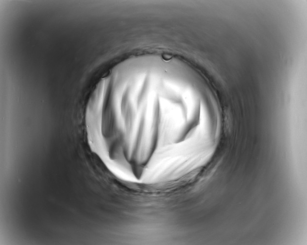 X0000088131494200706041938