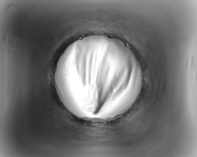 X0000088131495200706041938