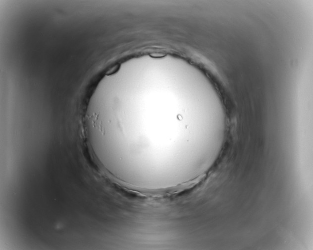 X0000088131496200706041938