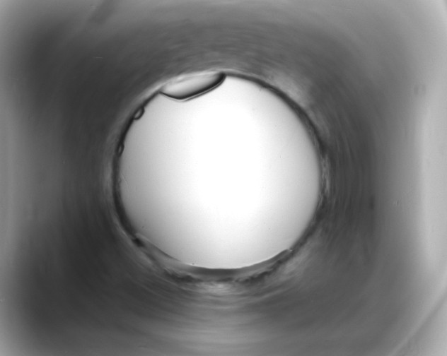 X0000088131500200706041938