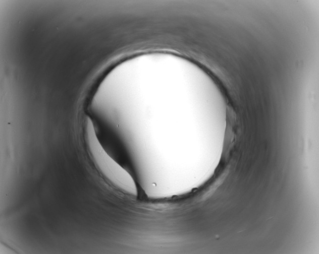 X0000088131502200706041938