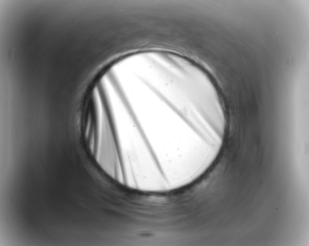 X0000088131503200706041938