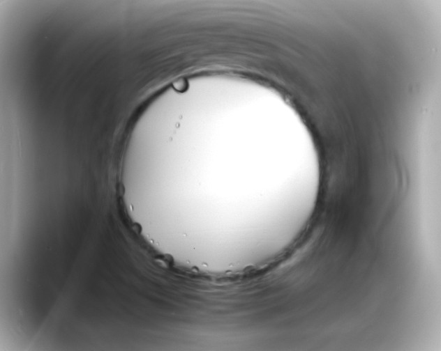 X0000088131505200706041938