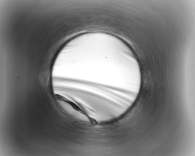 X0000088131507200706041938