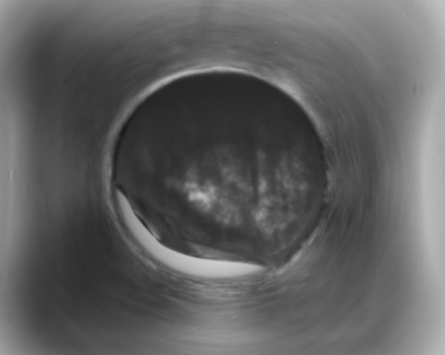 X0000088131508200706041938