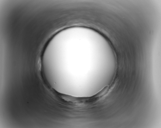 X0000088131509200706041938