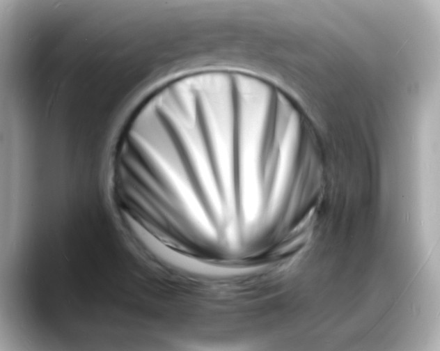 X0000088131511200706041938