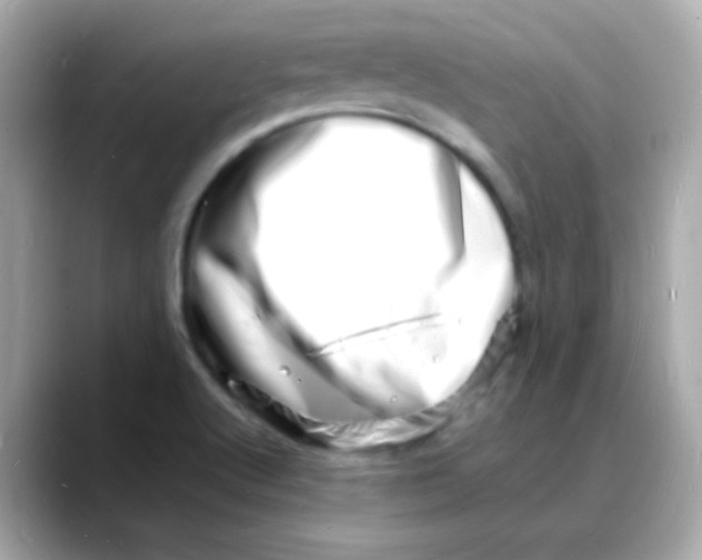 X0000088131512200706041938