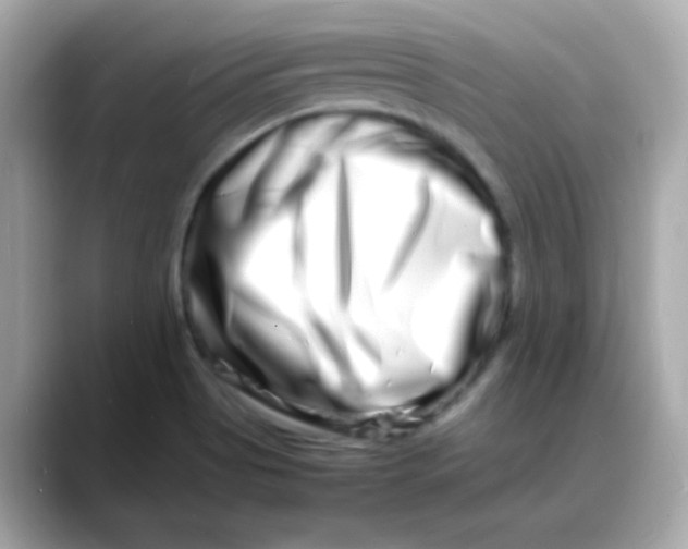 X0000088131513200706041938