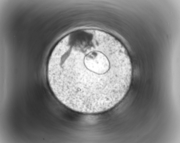 X0000088131514200706041938