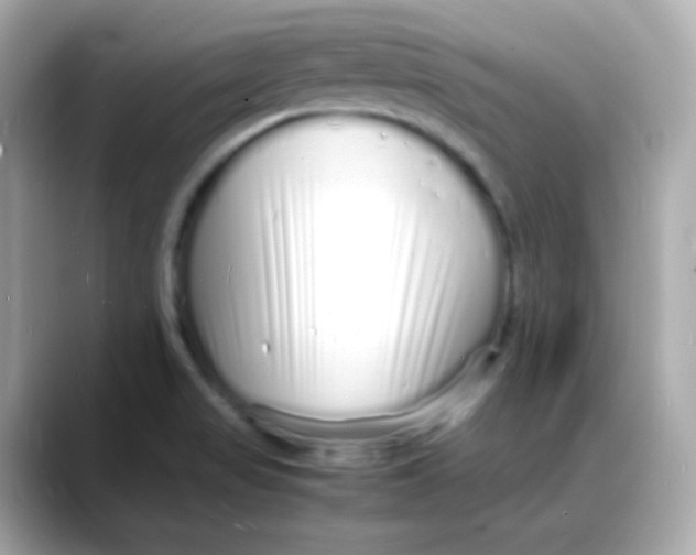 X0000088131517200706041938