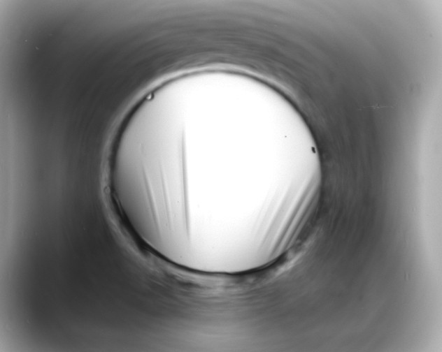 X0000088131518200706041938