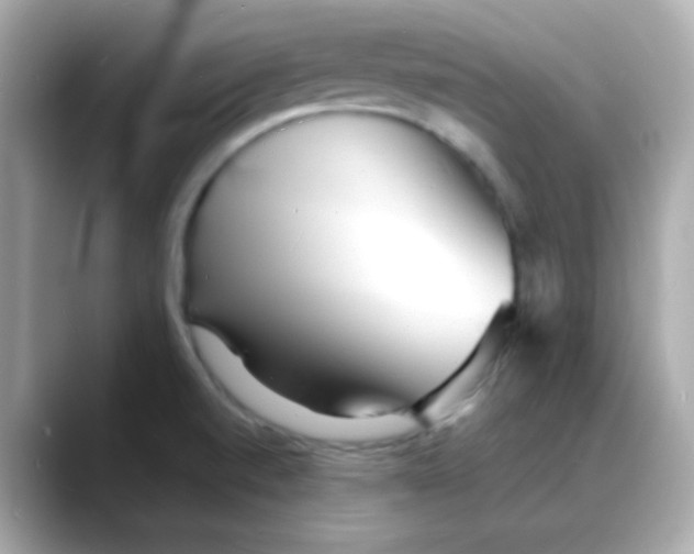 X0000088131520200706041938